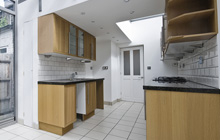 Crouch End kitchen extension leads